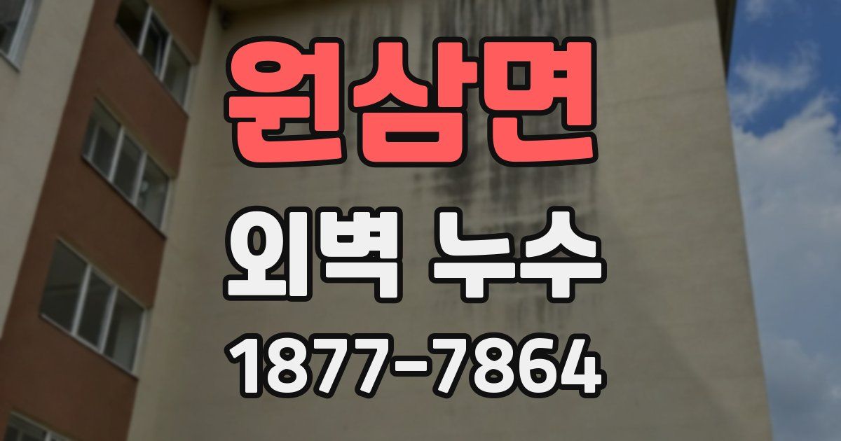 원삼면 외벽 누수