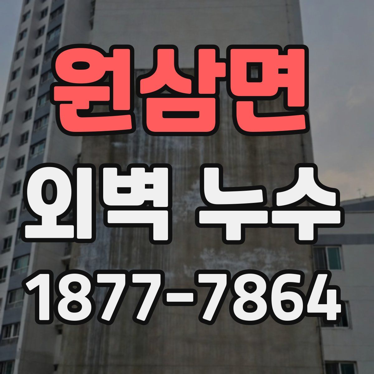 원삼면 외벽 누수