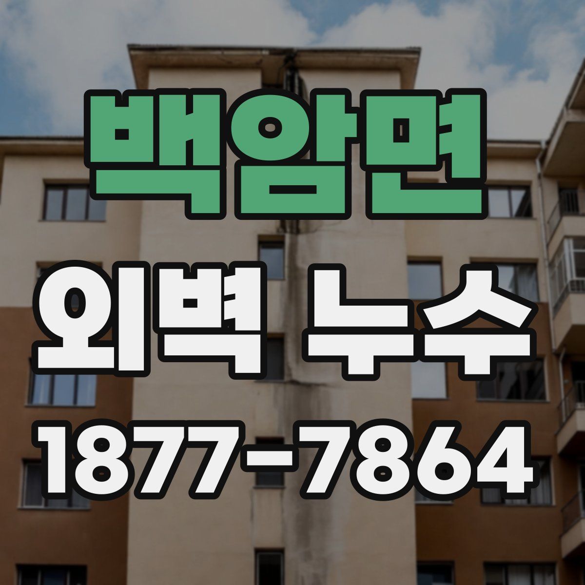 백암면 외벽 누수