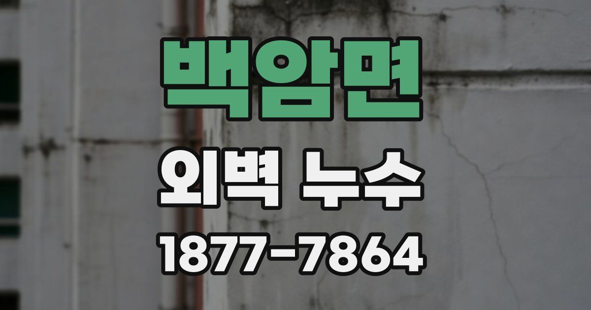 백암면 외벽 누수