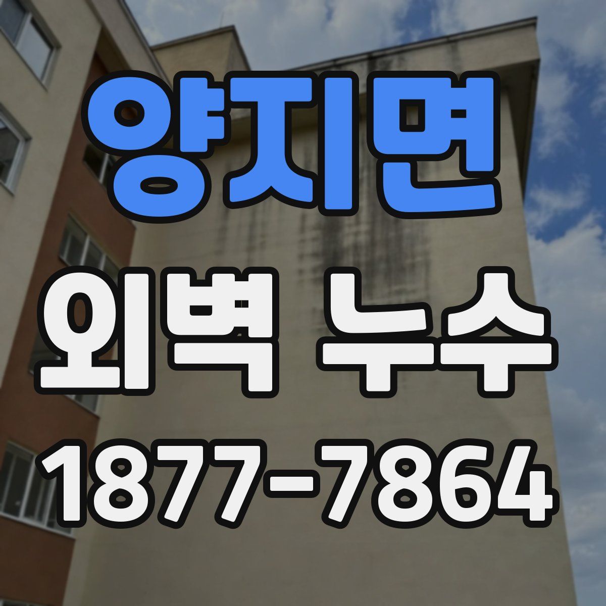양지면 외벽 누수