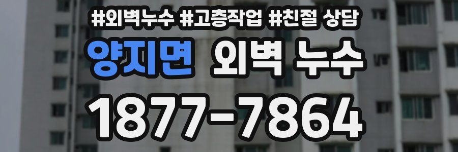 양지면 외벽 누수
