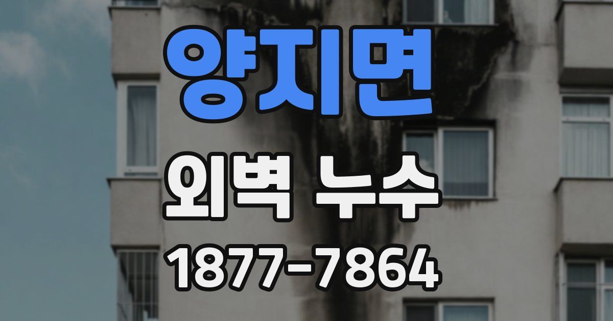 양지면 외벽 누수
