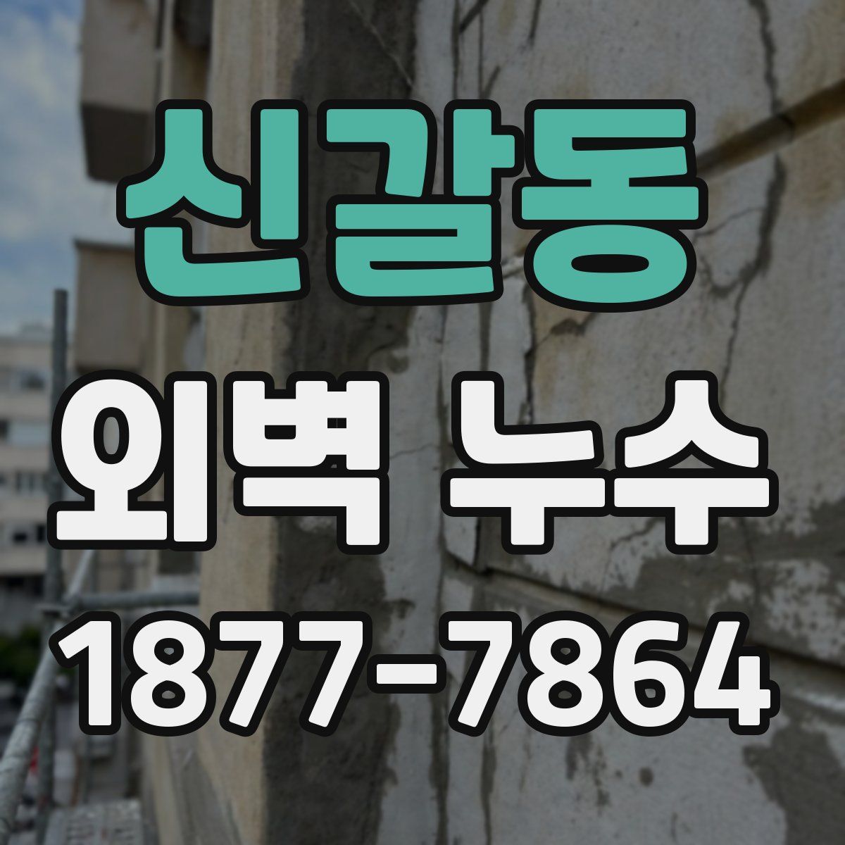 신갈동 외벽 누수