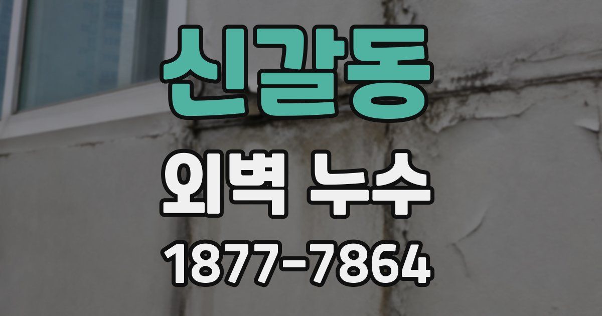 신갈동 외벽 누수