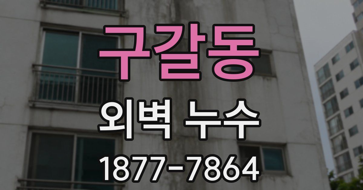 구갈동 외벽 누수