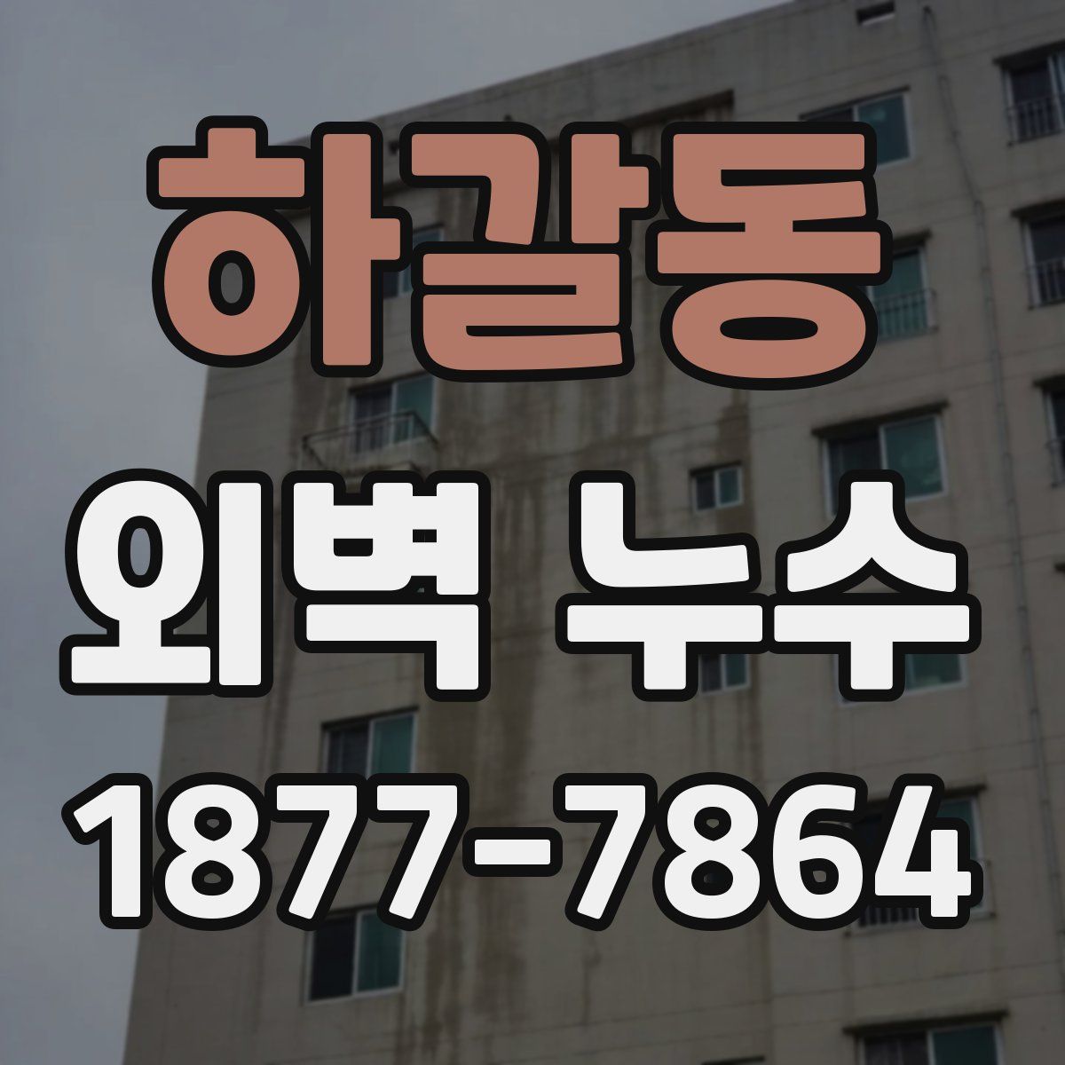 하갈동 외벽 누수