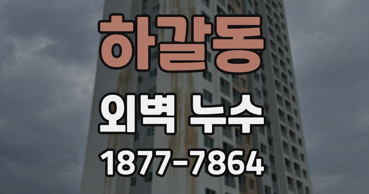 하갈동 외벽 누수
