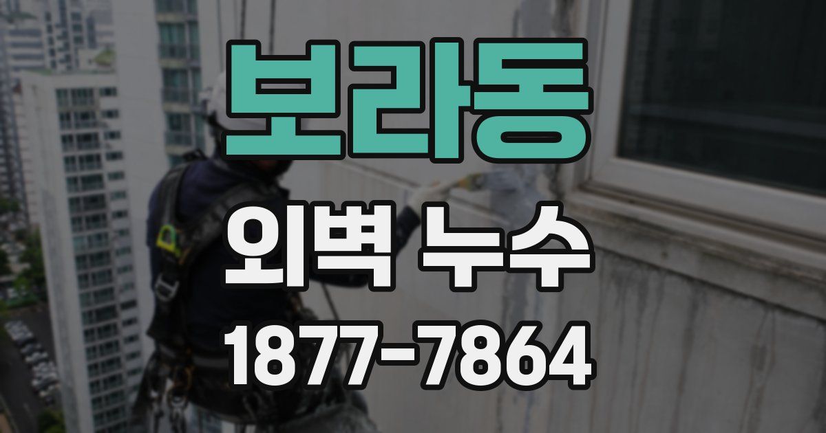 보라동 외벽 누수