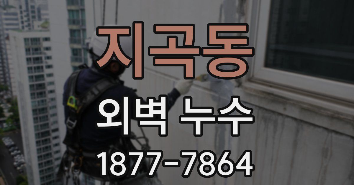 지곡동 외벽 누수