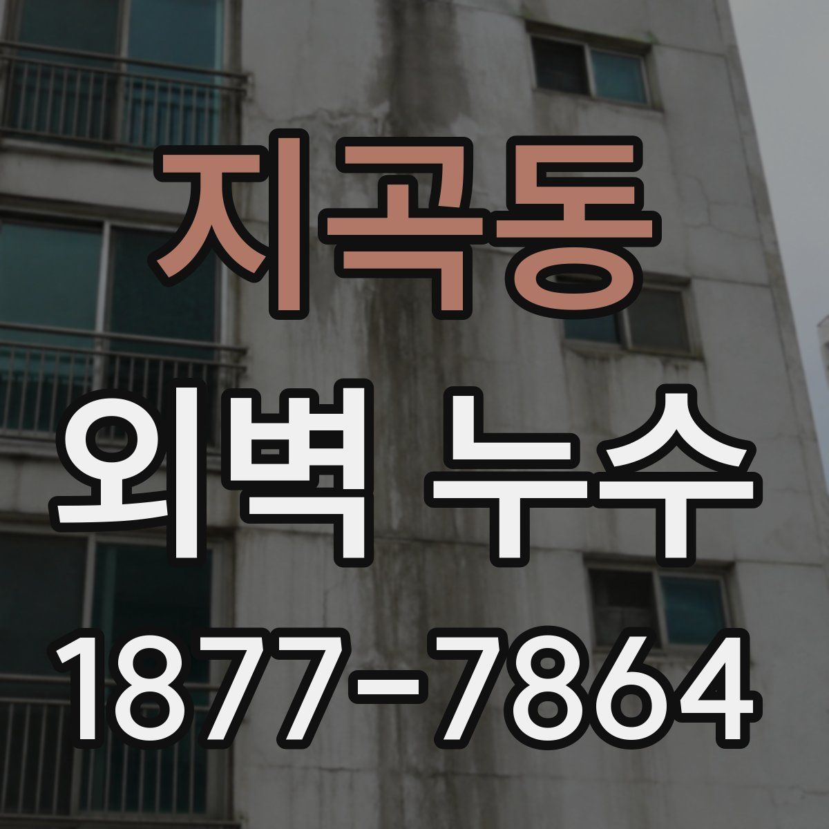 지곡동 외벽 누수
