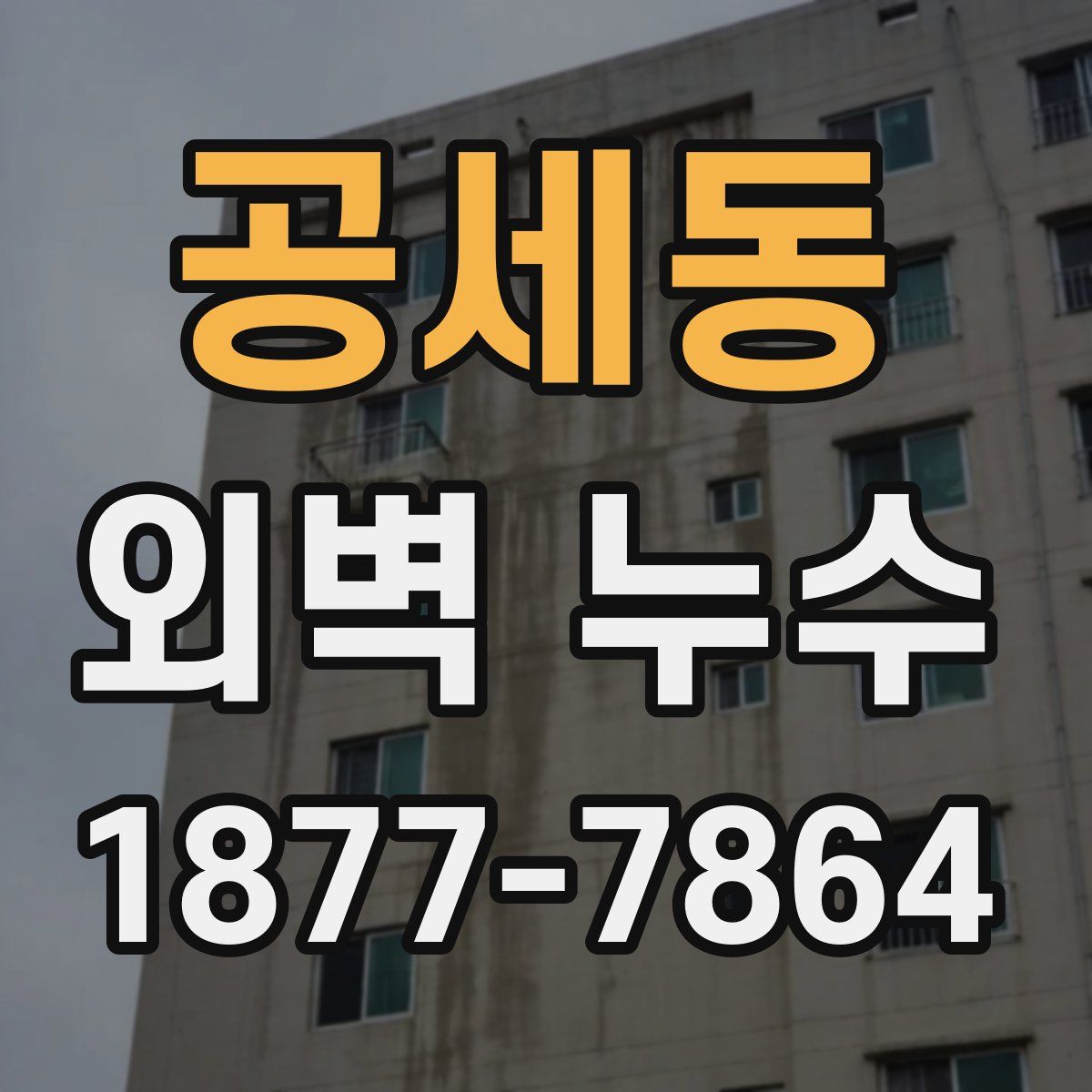 공세동 외벽 누수