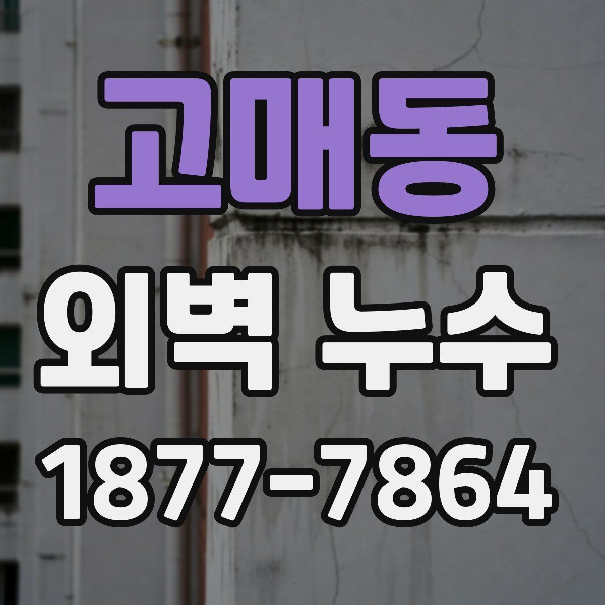 고매동 외벽 누수 원인별 점검 방법 정리