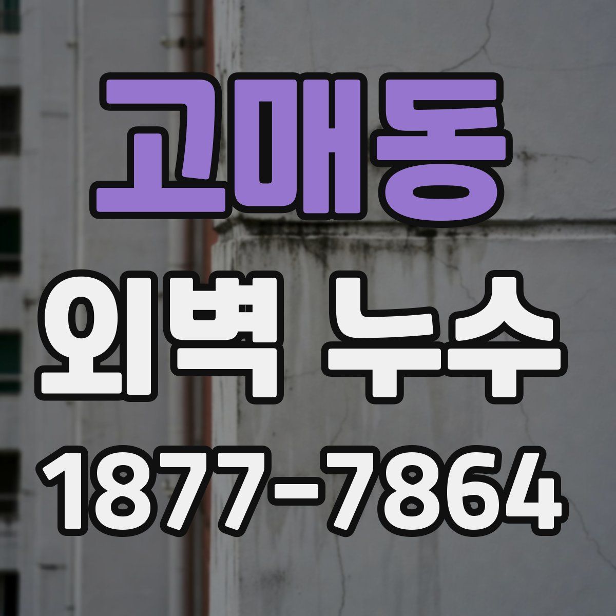 고매동 외벽 누수