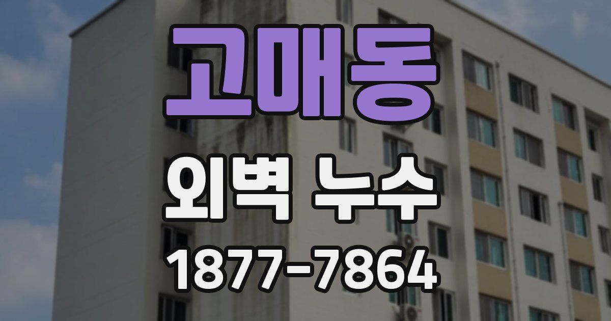 고매동 외벽 누수