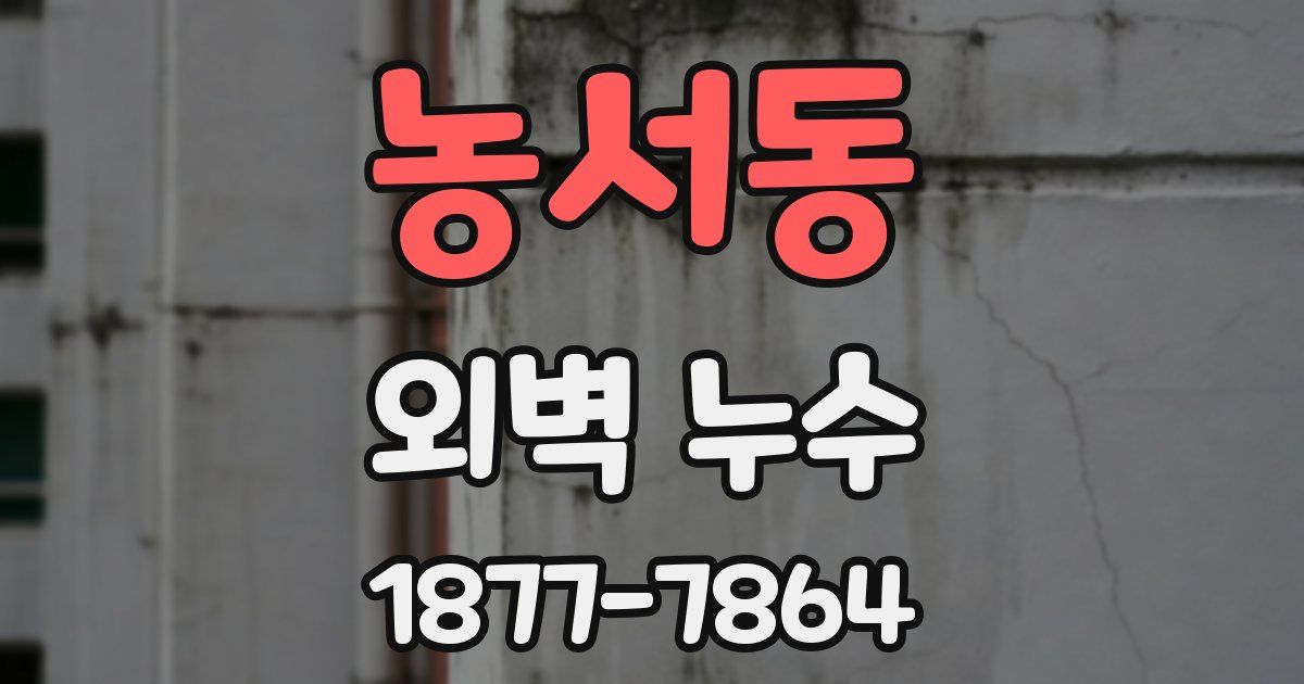 농서동 외벽 누수