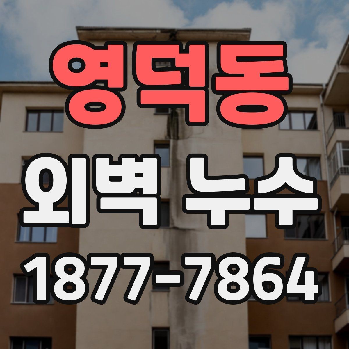 영덕동 외벽 누수 현장 사례로 본 점검 과정