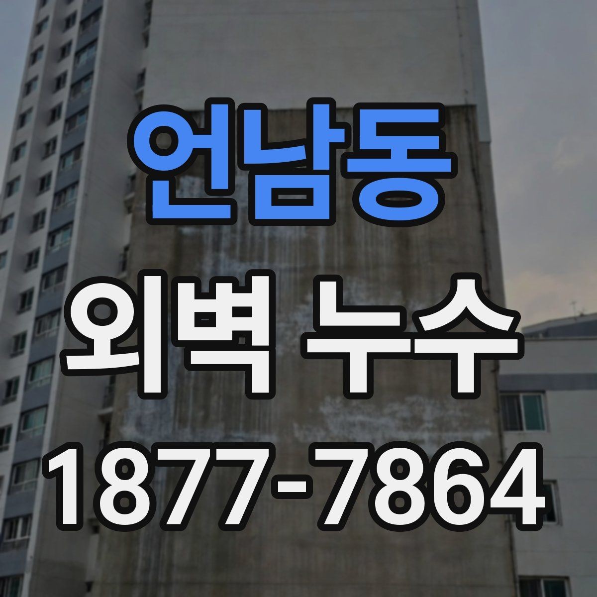 언남동 외벽 누수 점검과 보수의 핵심 흐름