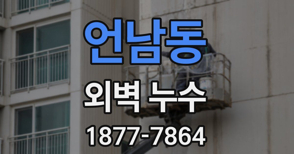 언남동 외벽 누수