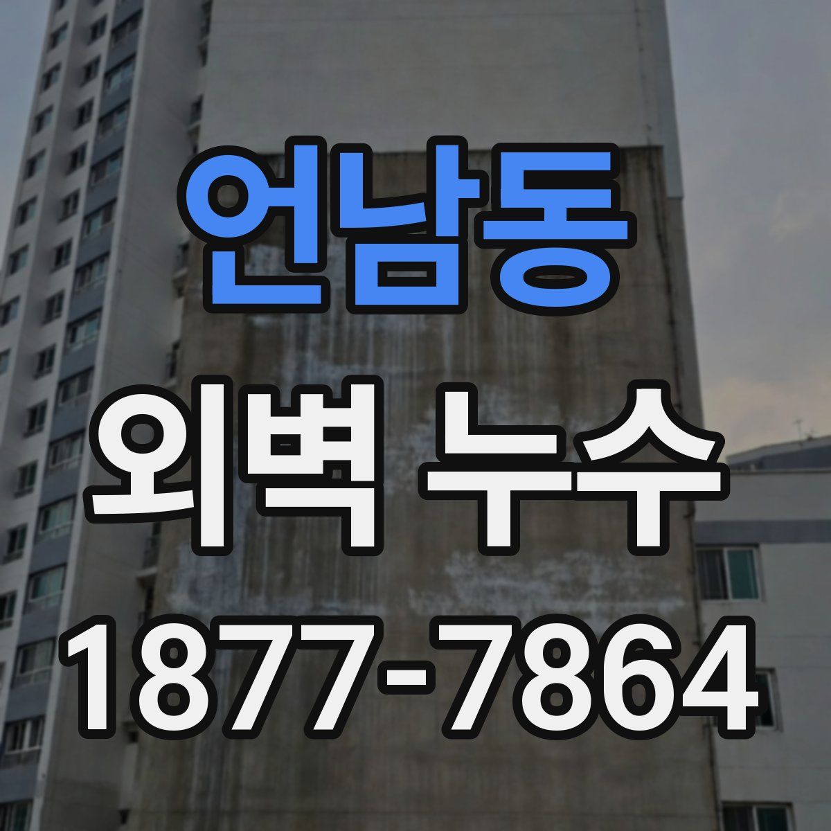 언남동 외벽 누수