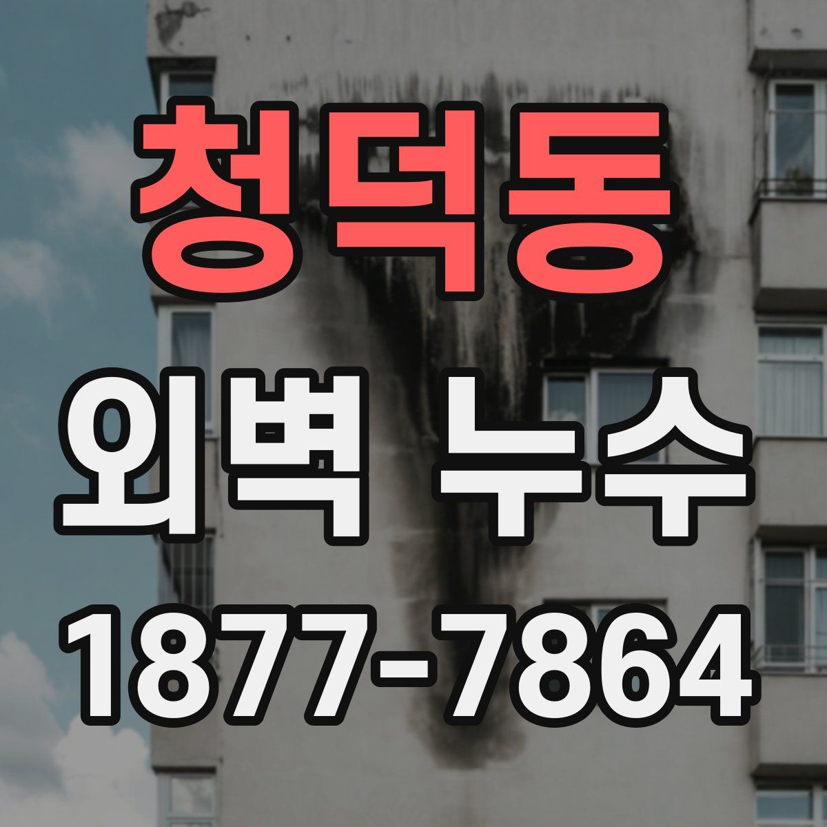청덕동 외벽 누수