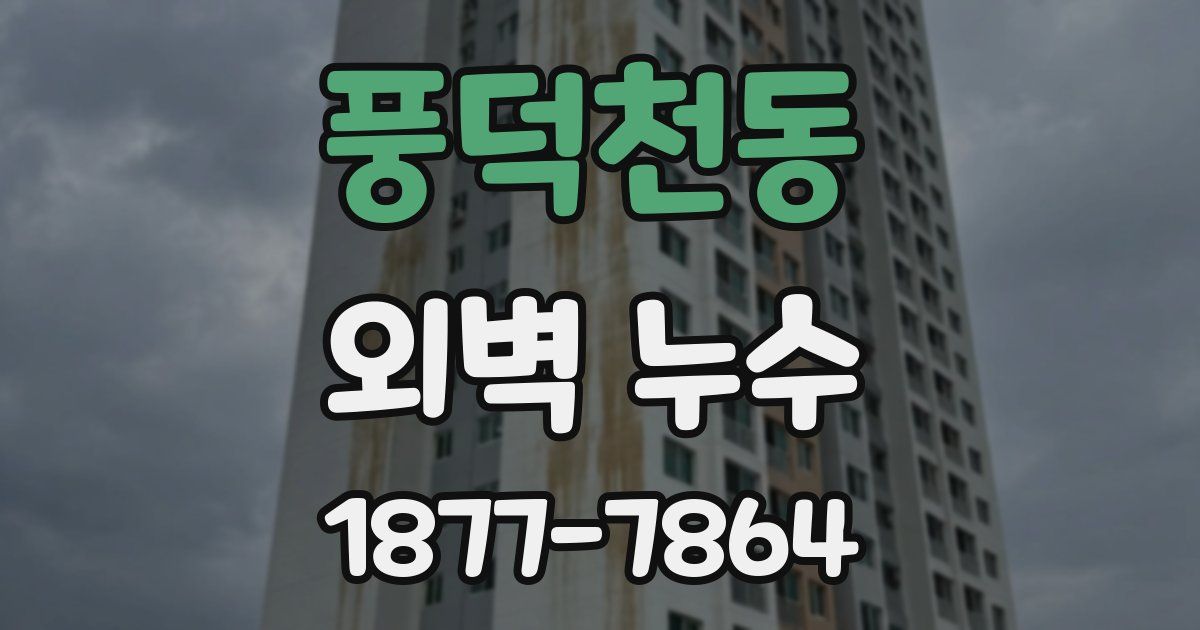 풍덕천동 외벽 누수
