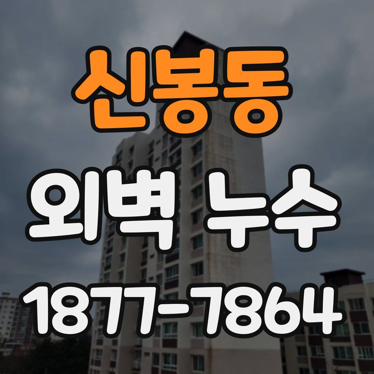 신봉동 외벽 누수