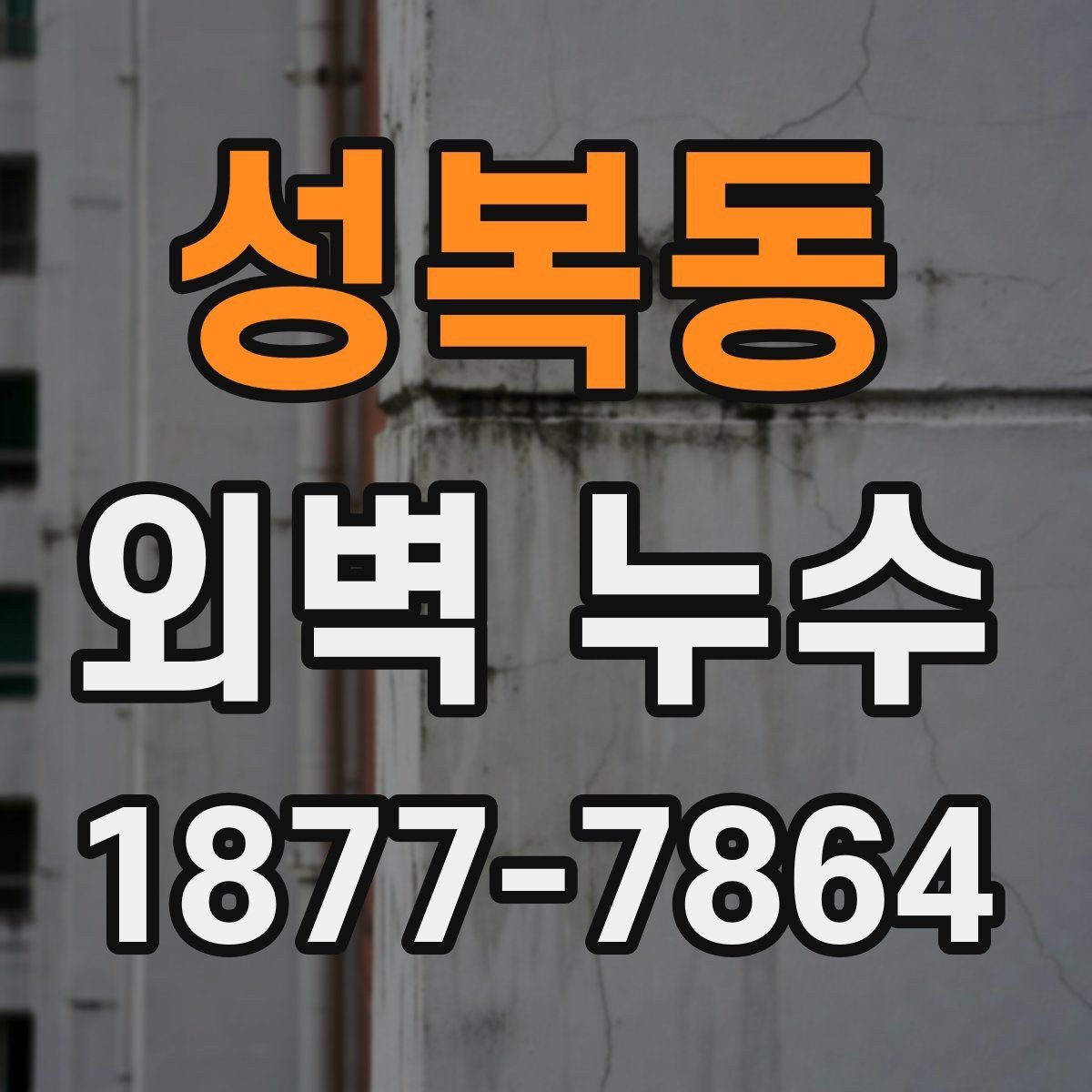 성복동 외벽 누수 진단이 어려운 이유