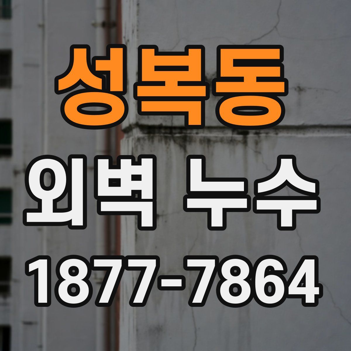 성복동 외벽 누수