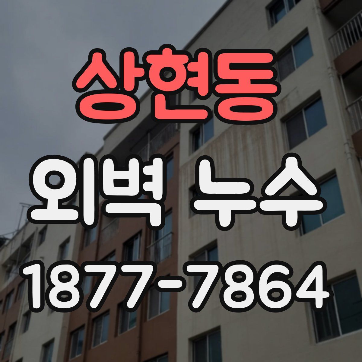 상현동 외벽 누수