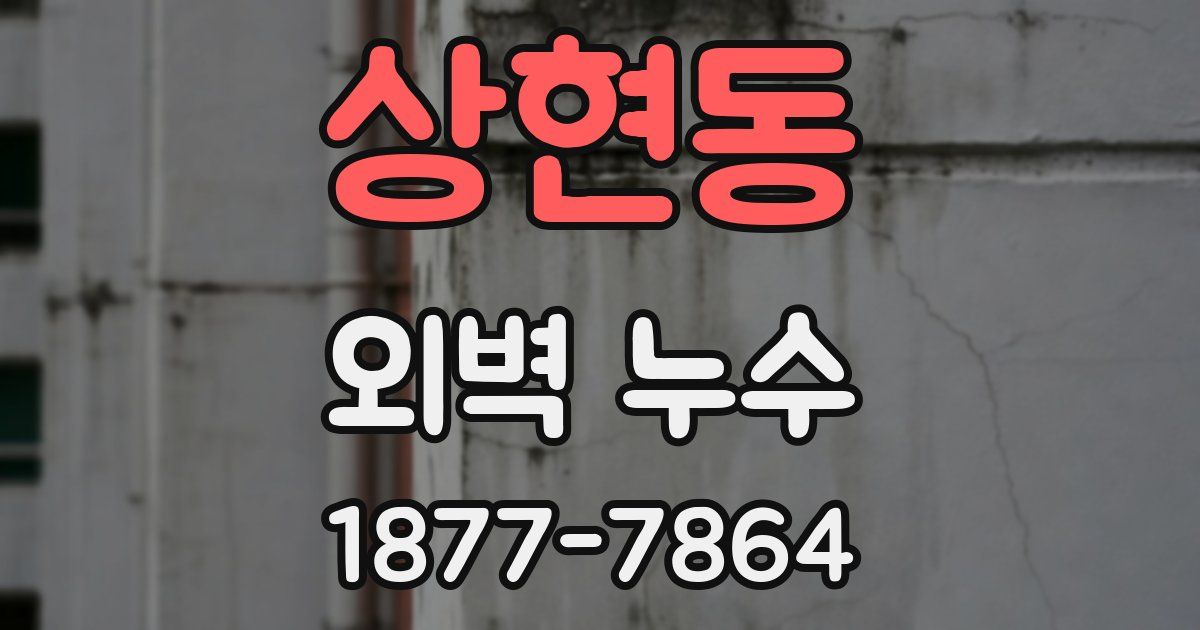 상현동 외벽 누수