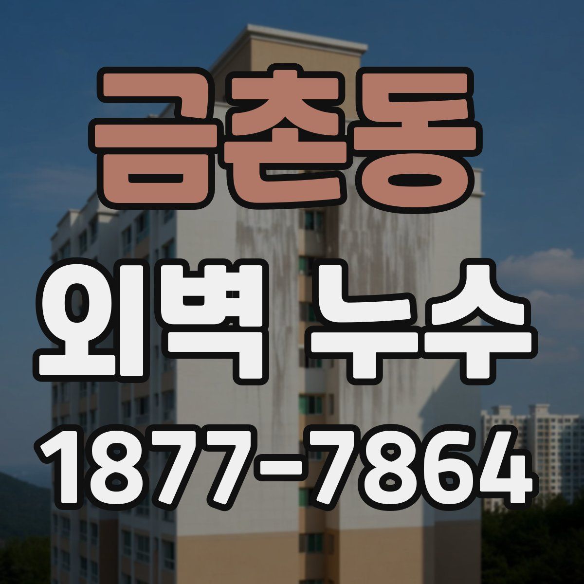 금촌동 외벽 누수