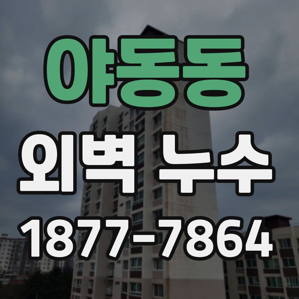 야동동 외벽 누수