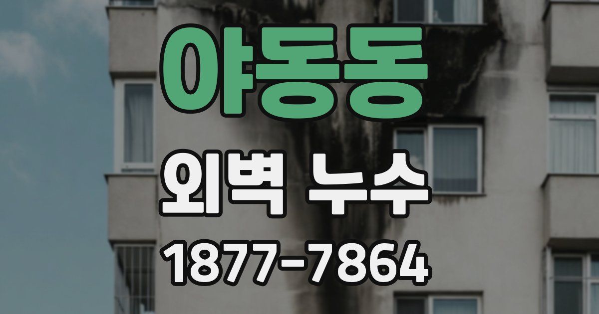 야동동 외벽 누수