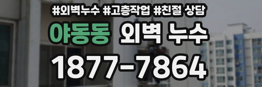 야동동 외벽 누수