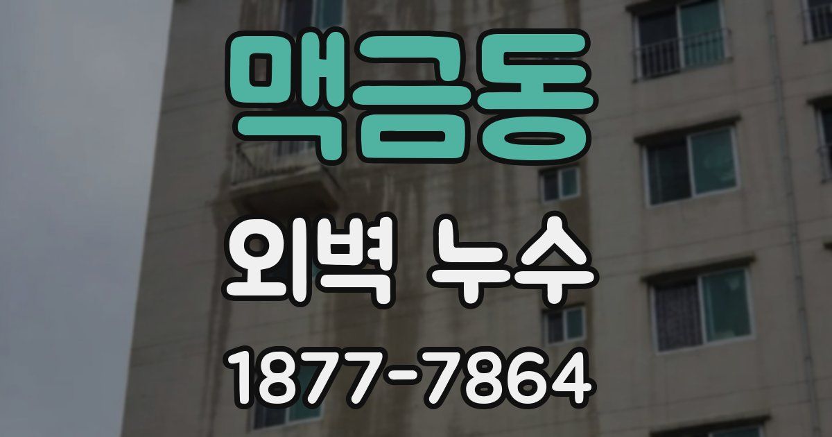 맥금동 외벽 누수