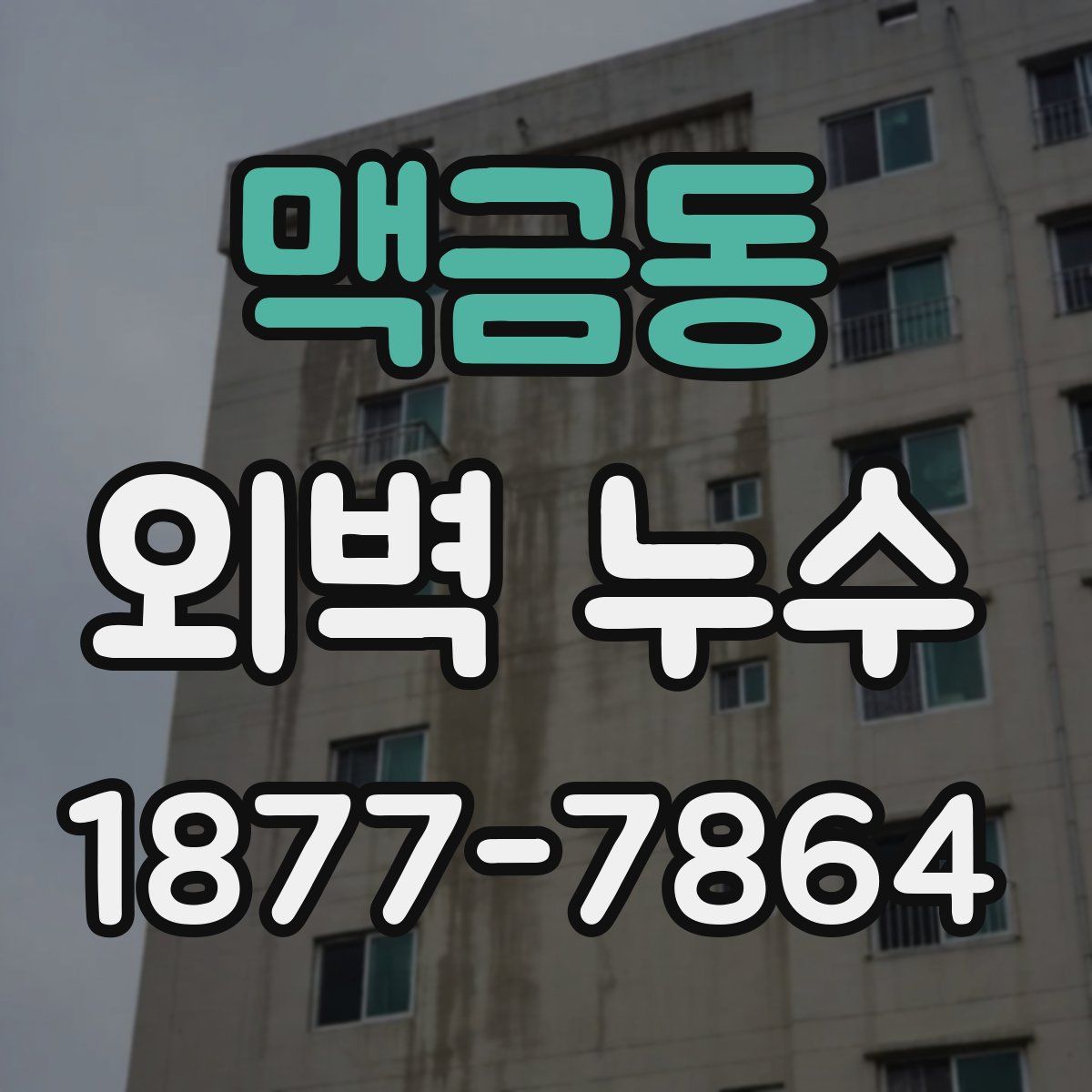 맥금동 외벽 누수