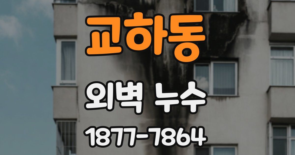 교하동 외벽 누수