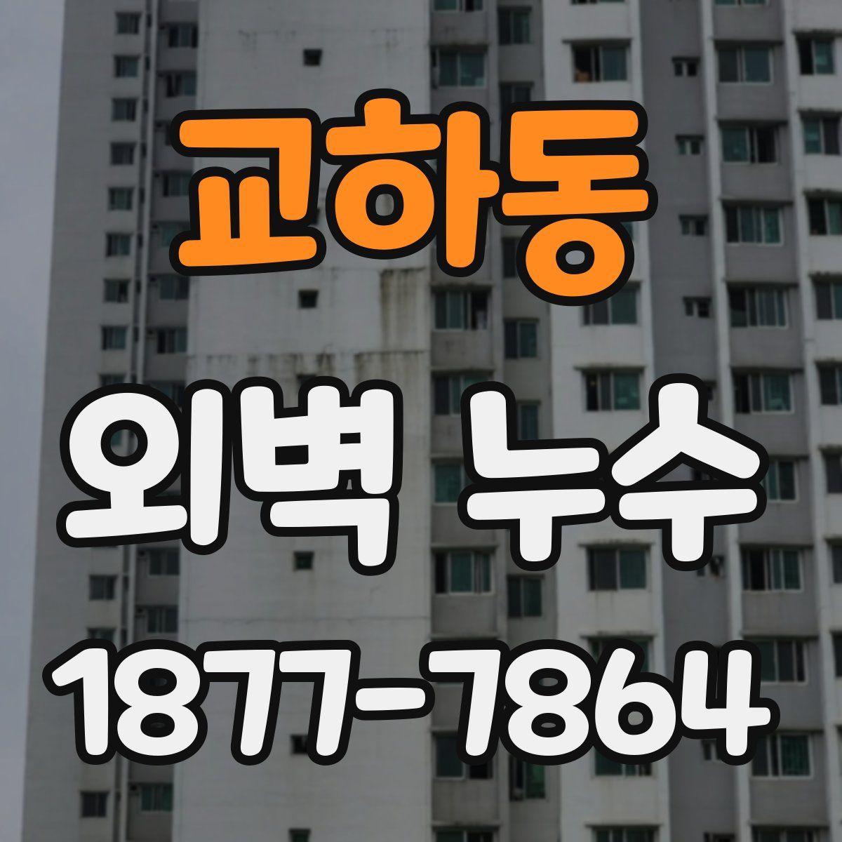 교하동 외벽 누수