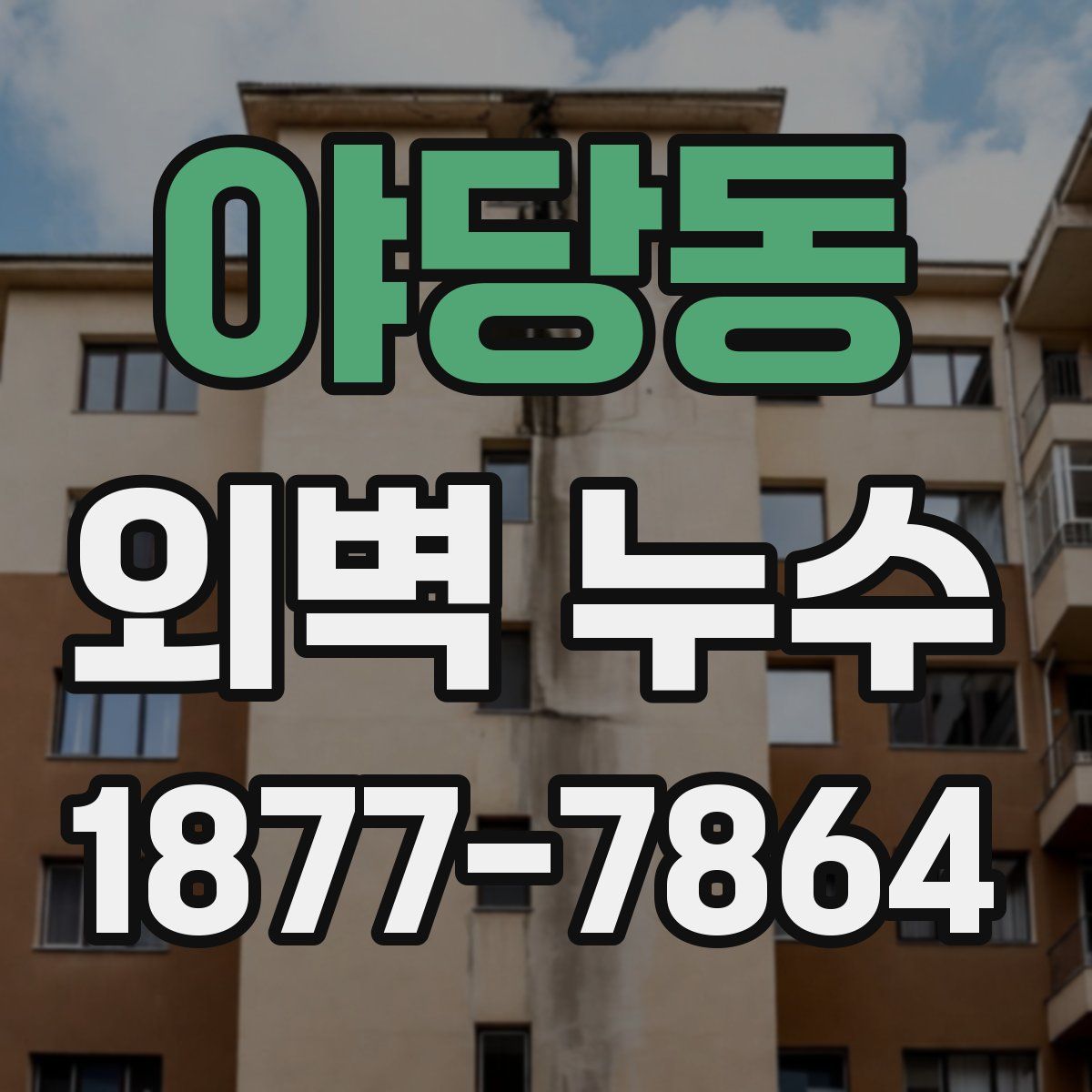 야당동 외벽 누수