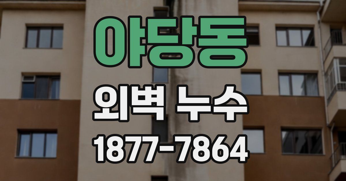 야당동 외벽 누수