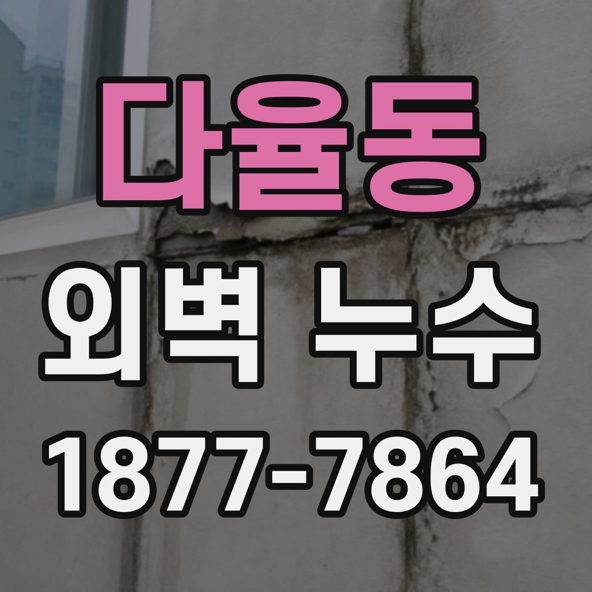 다율동 외벽 누수