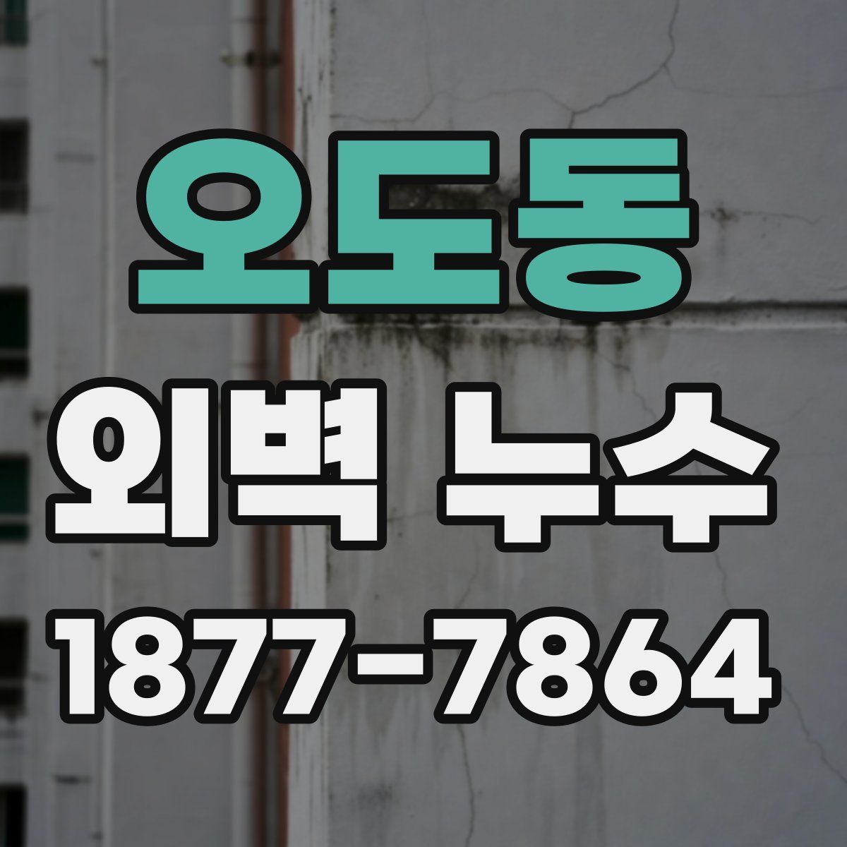 오도동 외벽 누수