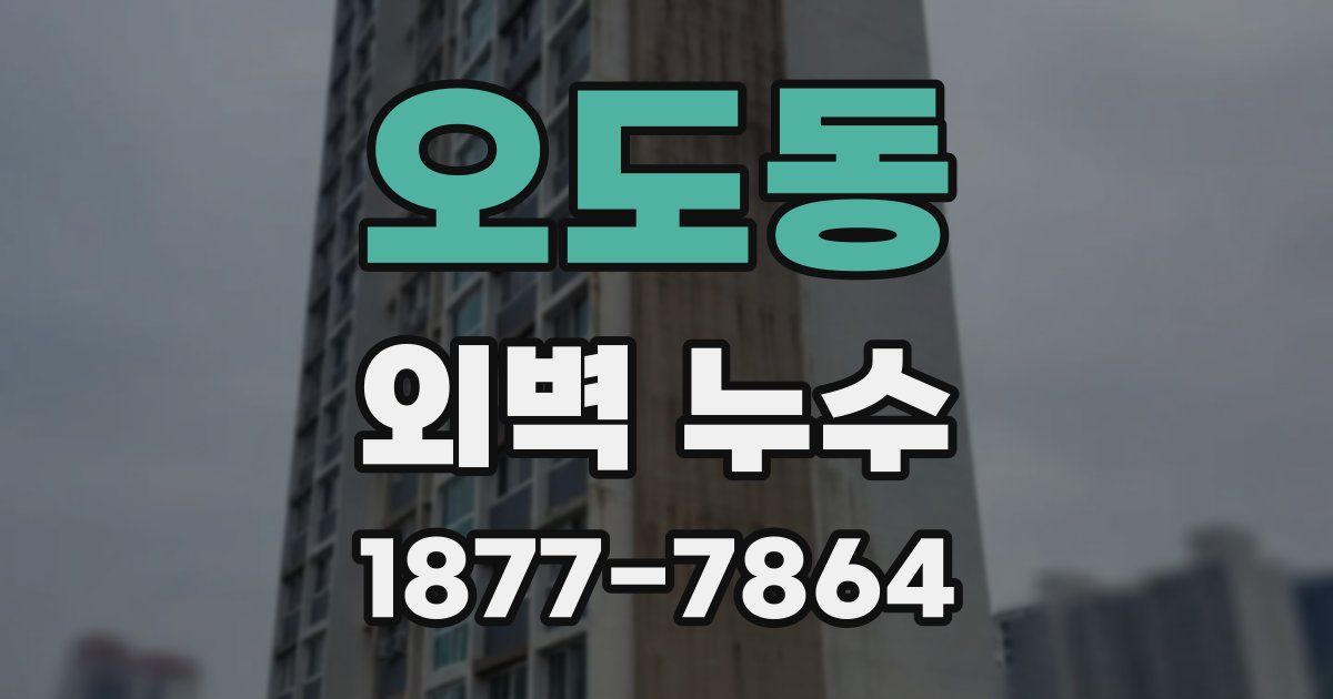 오도동 외벽 누수