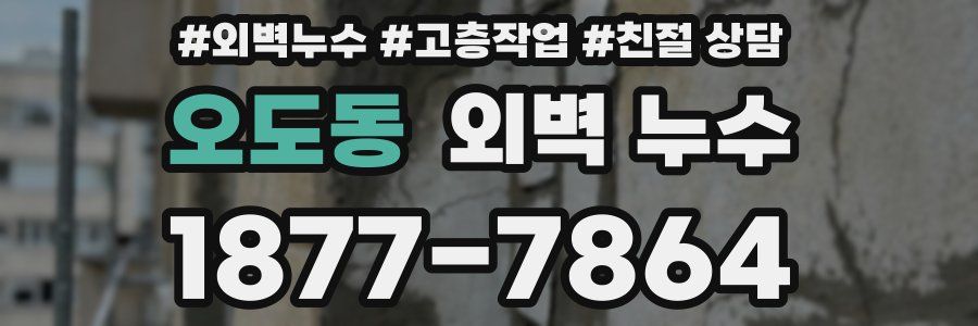 오도동 외벽 누수