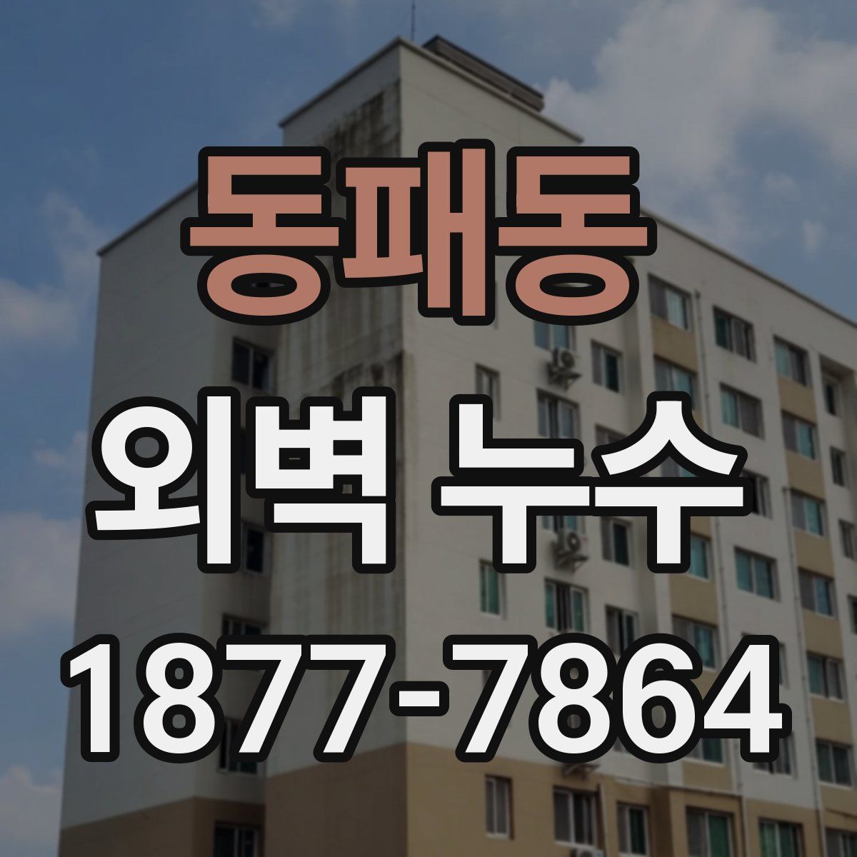 동패동 외벽 누수