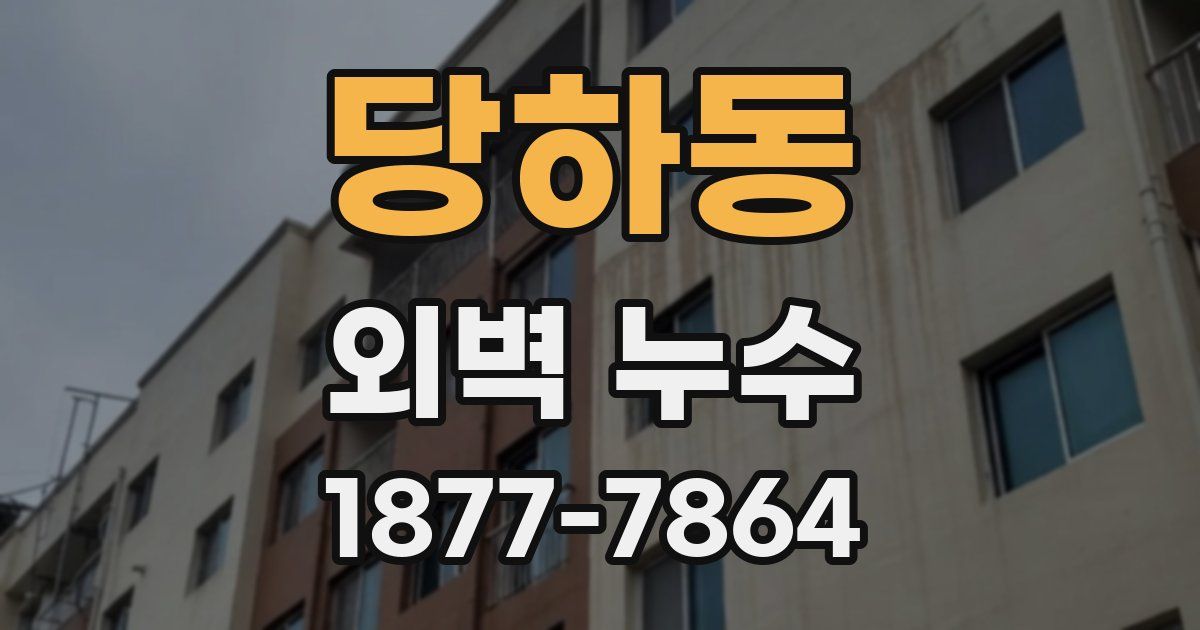 당하동 외벽 누수