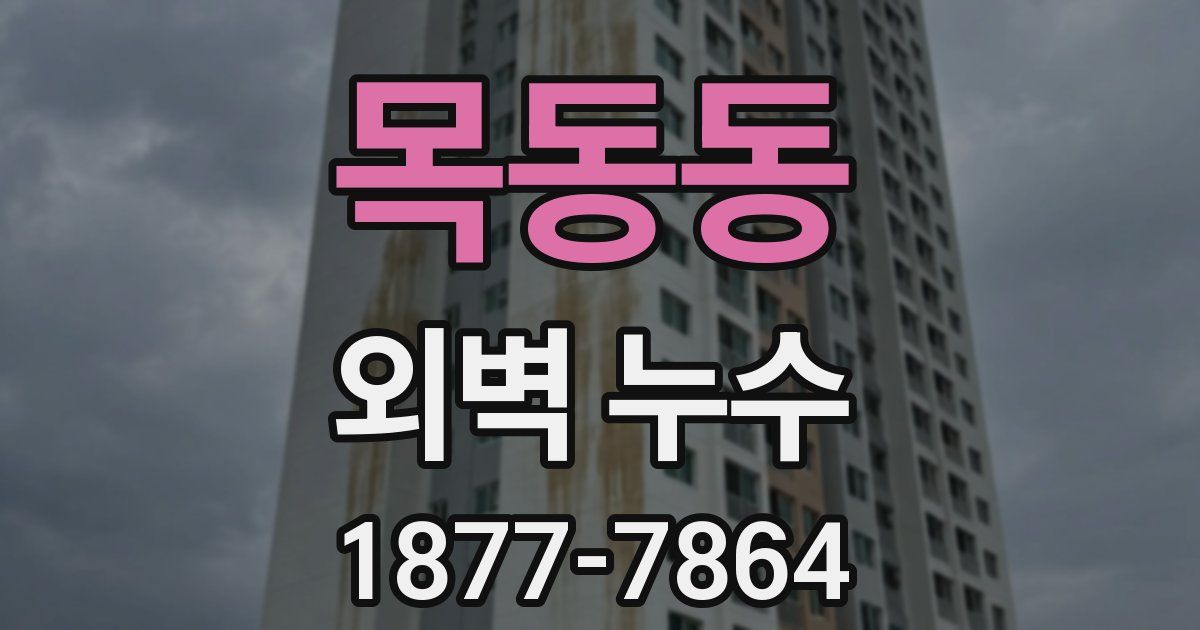 목동동 외벽 누수