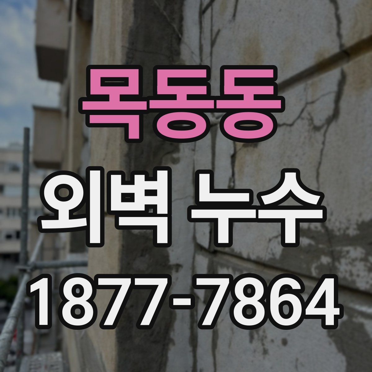 목동동 외벽 누수