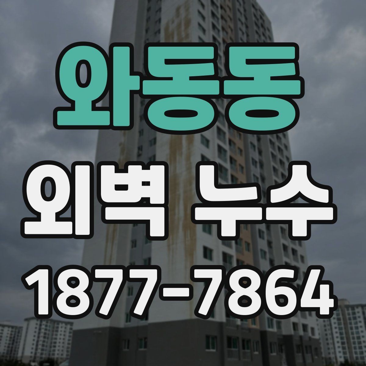 와동동 외벽 누수 발생 지점별 점검법